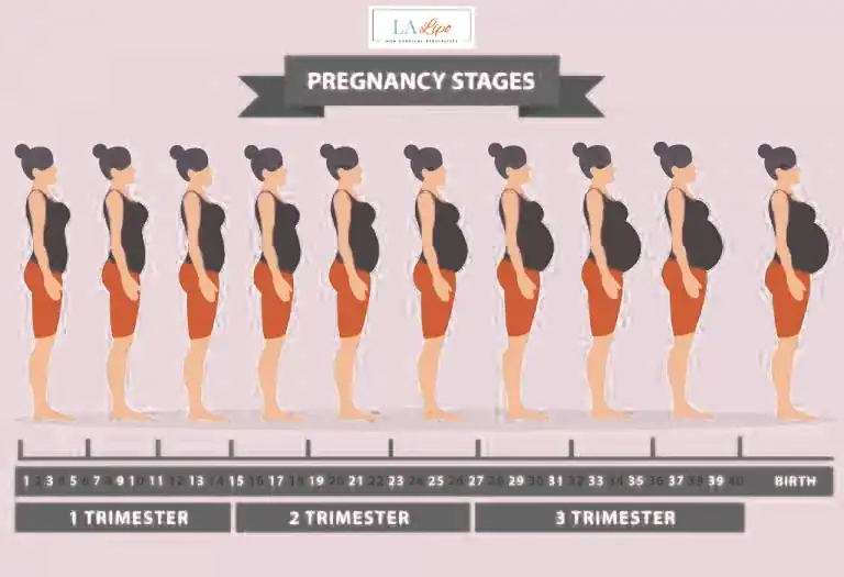 First Trimester (Weeks 1–12): Early Changes You Might Not Notice Greater London (Bromley)
